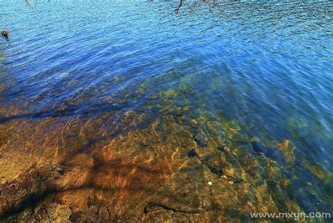 夢到湖水|梦见湖水是什么意思 做梦梦见湖水有什么预兆